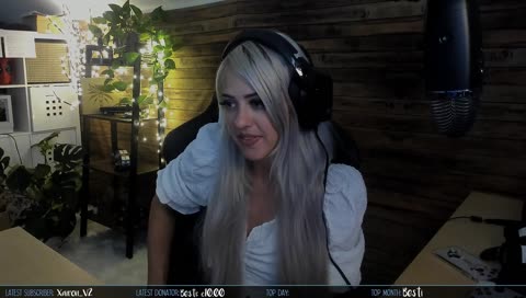 Farbenfuchs - Streamer Profile & Stats
